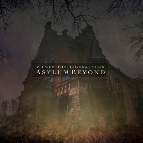 Asylum Beyond